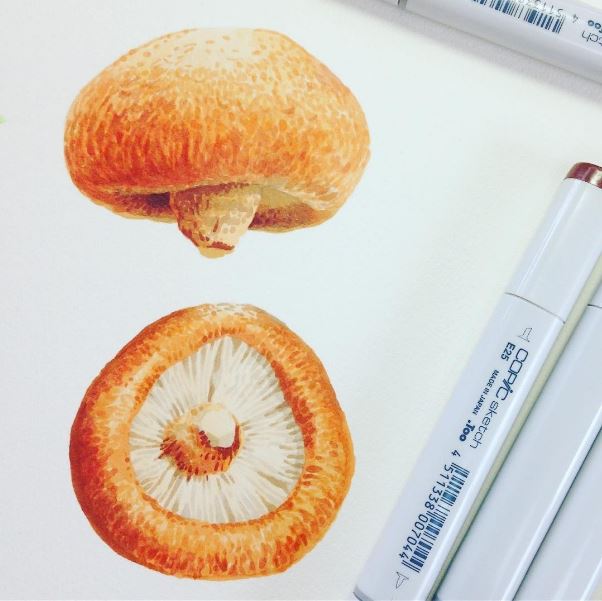 3-copic-mushroom